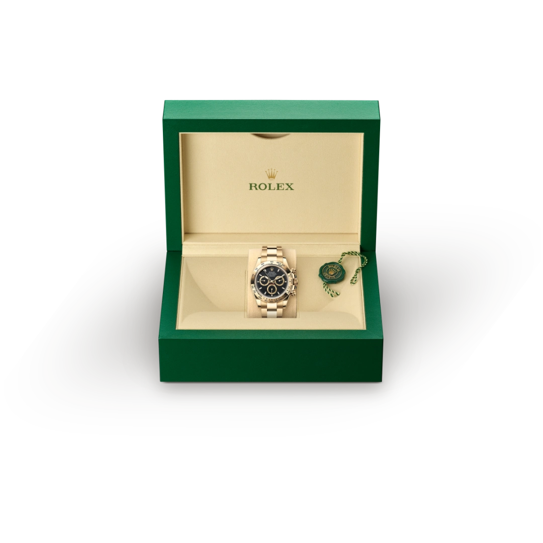 Rolex watch #2