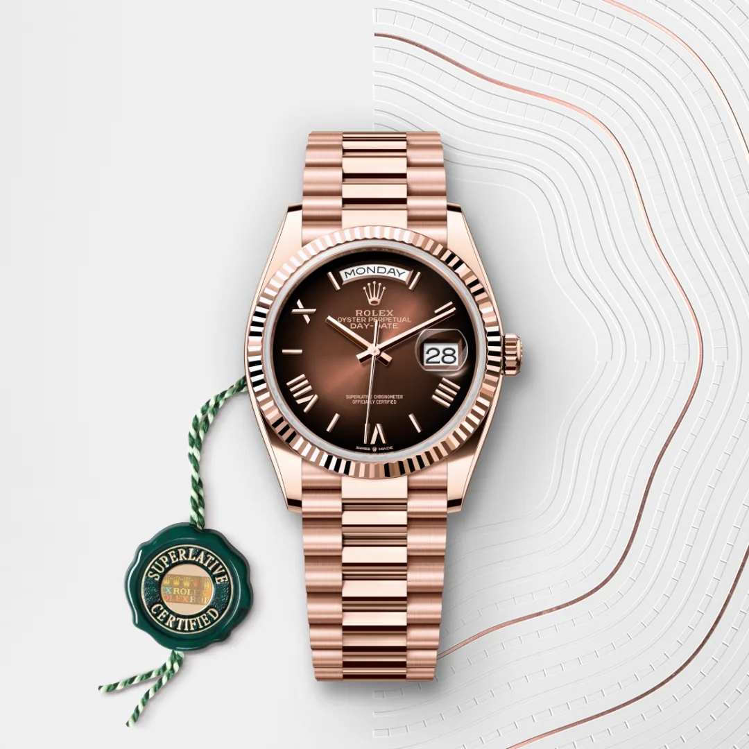 Rolex watch #3